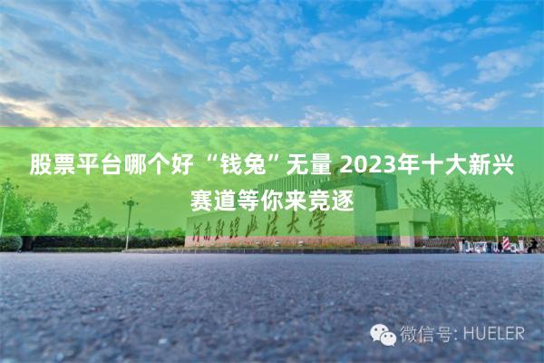 股票平台哪个好 “钱兔”无量 2023年十大新兴赛道等你来竞逐