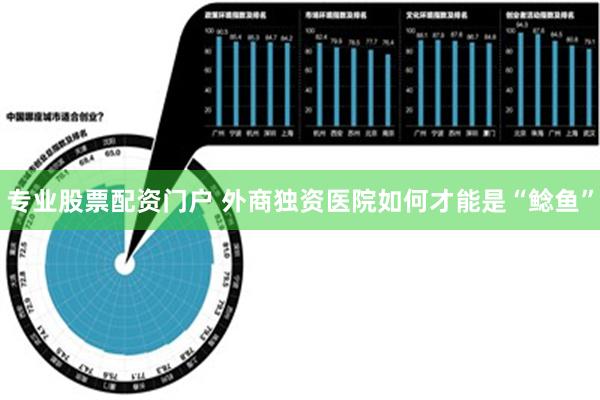 专业股票配资门户 外商独资医院如何才能是“鲶鱼”