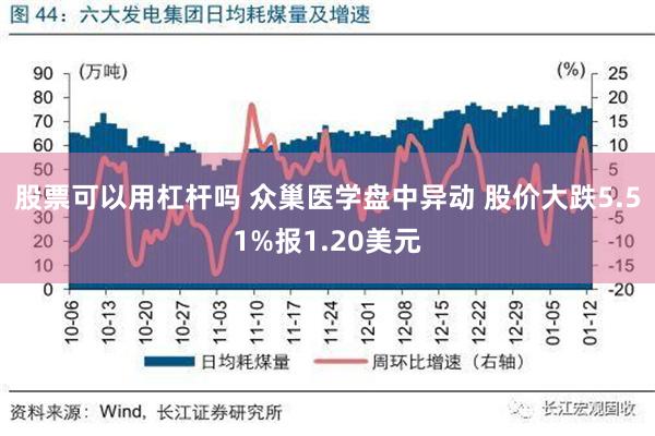 股票可以用杠杆吗 众巢医学盘中异动 股价大跌5.51%报1.20美元