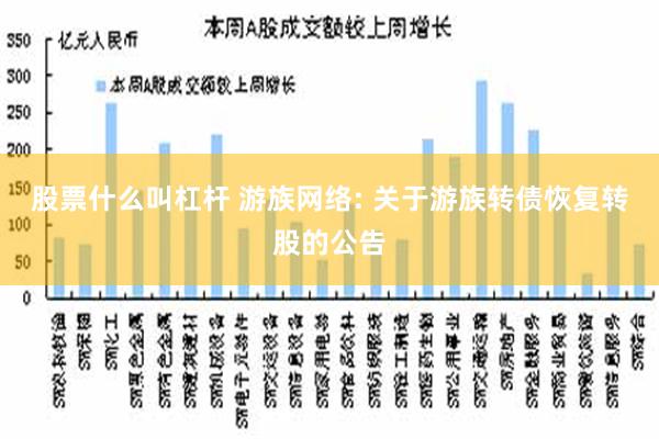 股票什么叫杠杆 游族网络: 关于游族转债恢复转股的公告