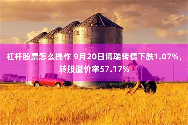 杠杆股票怎么操作 9月20日博瑞转债下跌1.07%，转股溢价率57.17%