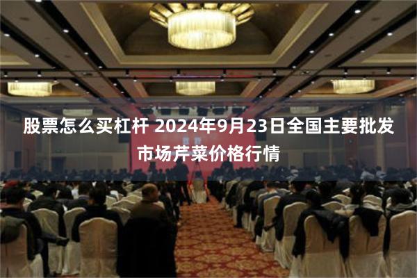 股票怎么买杠杆 2024年9月23日全国主要批发市场芹菜价格行情