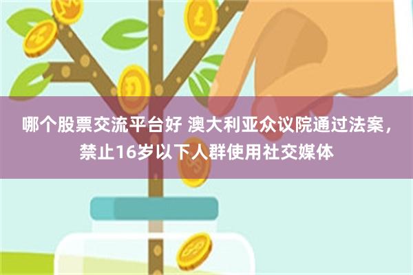 哪个股票交流平台好 澳大利亚众议院通过法案，禁止16岁以下人群使用社交媒体