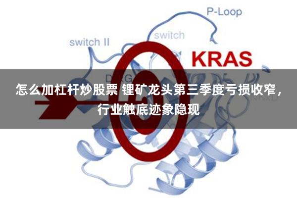 怎么加杠杆炒股票 锂矿龙头第三季度亏损收窄，行业触底迹象隐现