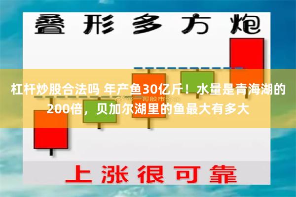 杠杆炒股合法吗 年产鱼30亿斤！水量是青海湖的200倍，贝加尔湖里的鱼最大有多大