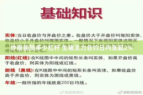 炒股能加多少杠杆 生猪主力合约日内涨超2%