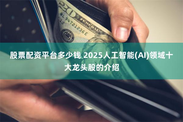 股票配资平台多少钱 2025人工智能(AI)领域十大龙头股的介绍