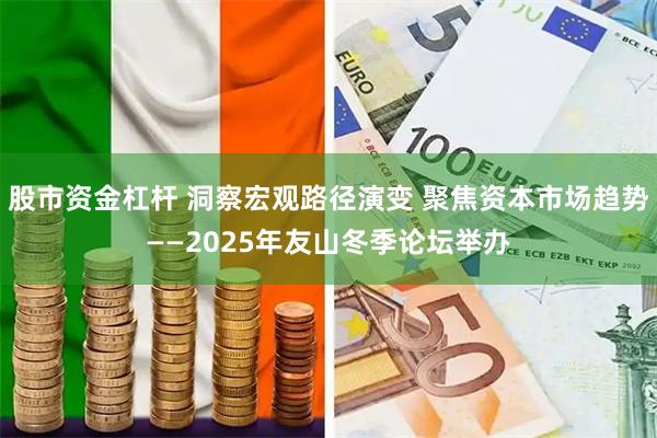 股市资金杠杆 洞察宏观路径演变 聚焦资本市场趋势——2025年友山冬季论坛举办