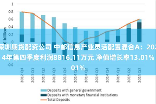 深圳期货配资公司 中邮信息产业灵活配置混合A：2024年第四季度利润8816.11万元 净值增长率13.01%