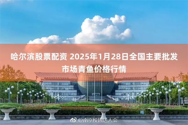 哈尔滨股票配资 2025年1月28日全国主要批发市场青鱼价格行情